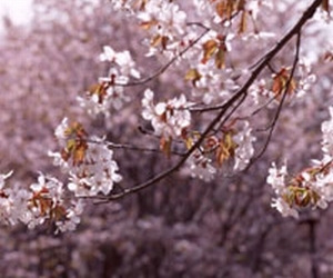 キャッシングの審査ポイント